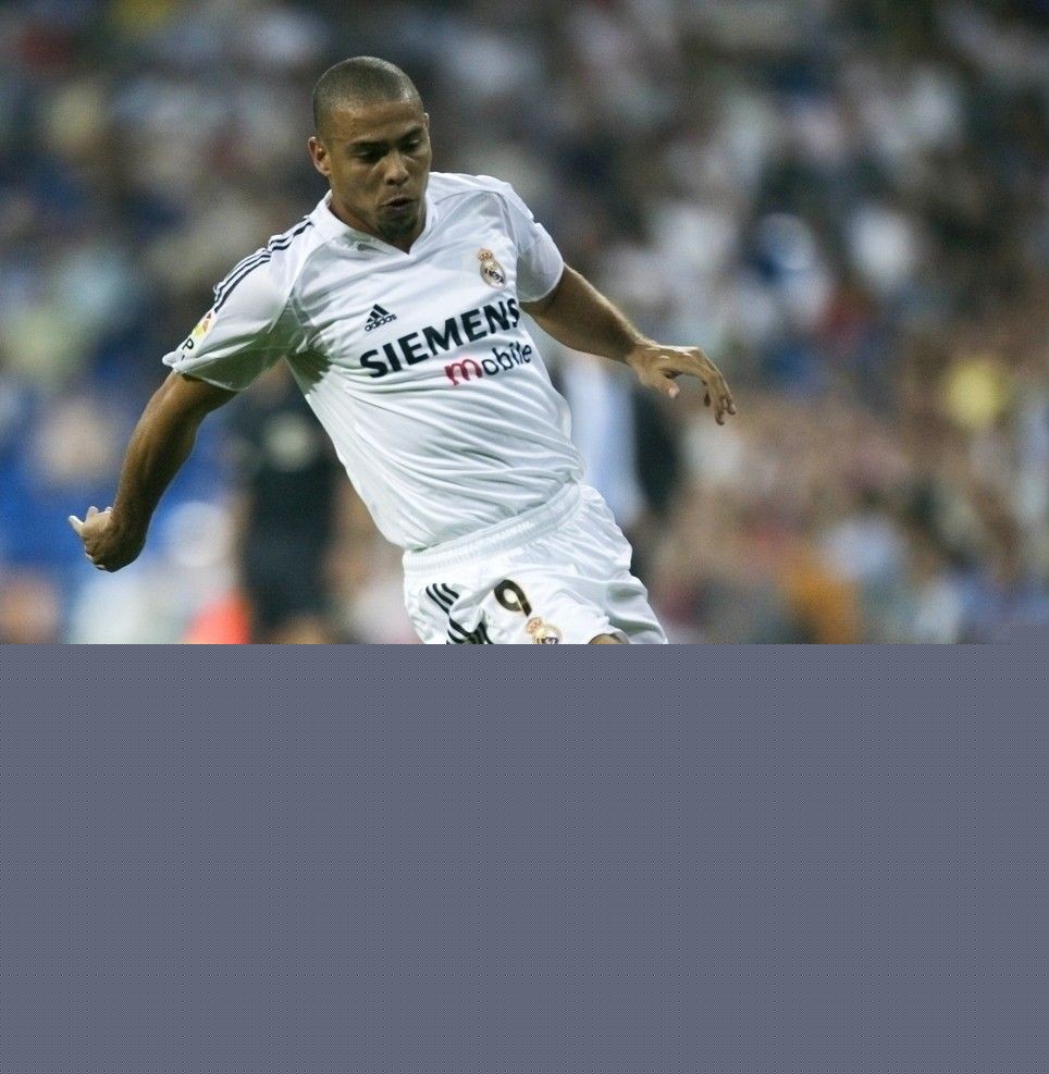 登贝莱数据 登贝莱数据