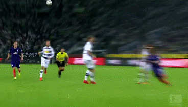 弗里克调整 弗里克调整